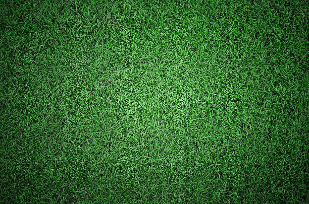 istock Soccer football grass field 538567528