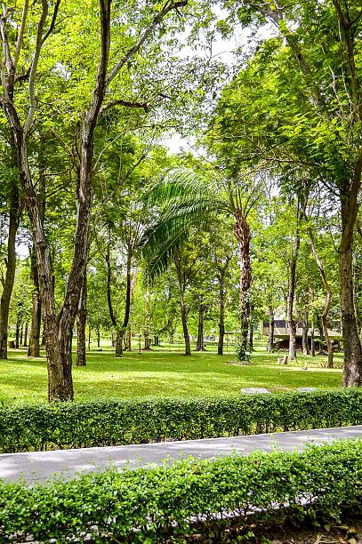 istock nature garden in Thailand 538567985