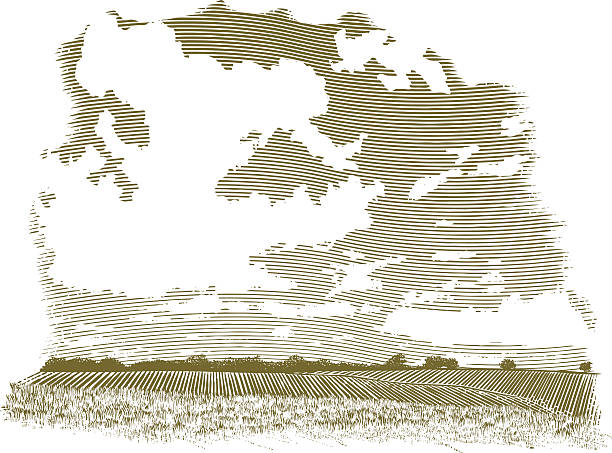 drzeworyt chmura scena - pasture green meadow cloud stock illustrations