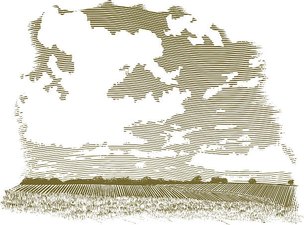 ilustrações, clipart, desenhos animados e ícones de estampa xilográfica nuvem de cena - pasture green meadow cloud