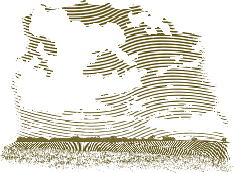 This sepia-toned vintage-looking woodcut-style vector illustration shows a wide landscape view of a farm field. The foreground is grass, while the background shows rows of crops. The large sky shows large puffy clouds. This illustration was created in a scratch board style.
