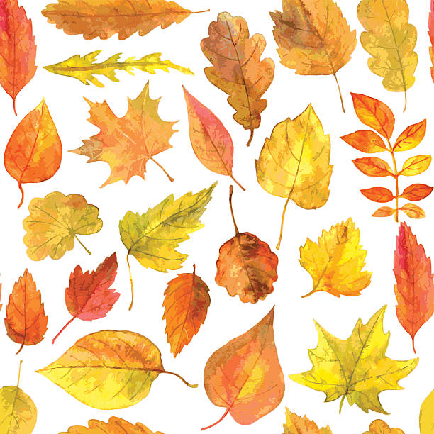 бесшовный узор с осени листья в акварельных тонах - autumn backgrounds biology botany stock illustrations