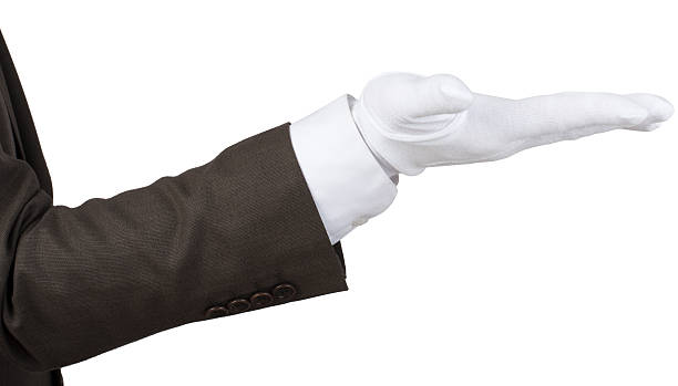 istock Elegant human hand presenting your text or product 538569362