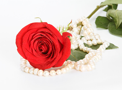 Red rose and pearl beads on white background