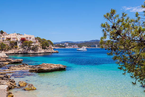 istock Cala Fornells View in Majorca 538570523
