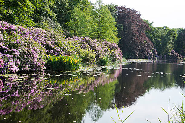 istock big gardens in forest near Baarn in Holland 538570596