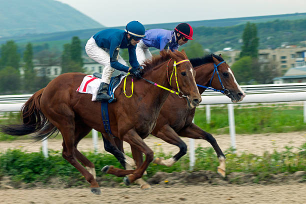 istock Horse racing in Pyatigorsk. 538574102