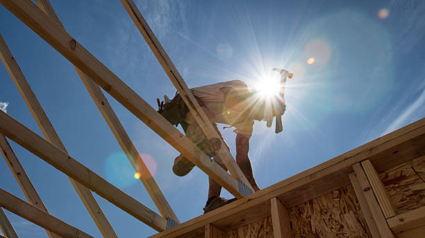 trabajador de la construcción de un edificio estructuras - carpenter construction residential structure construction worker fotografías e imágenes de stock