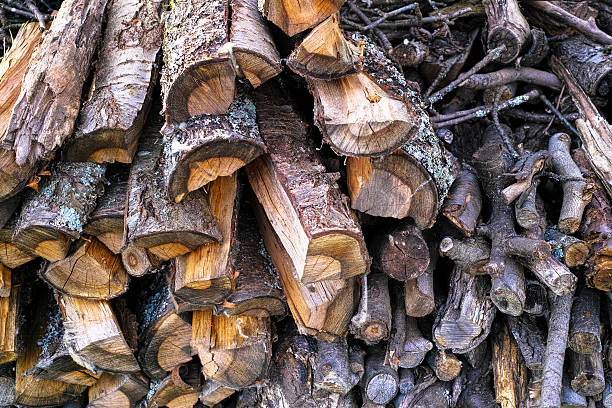 pile de bois de chauffage  - cherrywood photos et images de collection