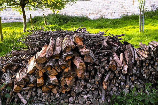 pile de bois de chauffage dans le jardin de fruits - cherrywood photos et images de collection