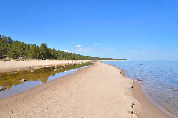 istock Beach on Ladoga lake at morning. 538578488
