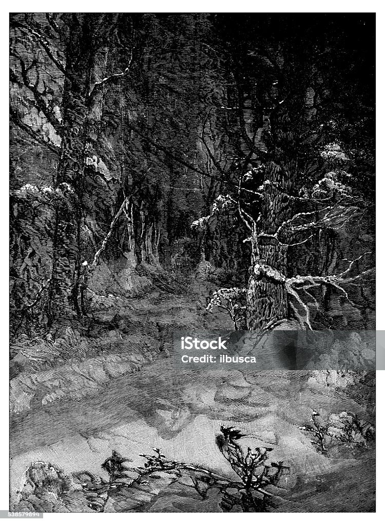 Antique illustration of dark forest Fear stock illustration