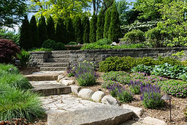 installation d'un cadre professionnel avec des rochers - landscaped retaining wall wall stone photos et images de collection