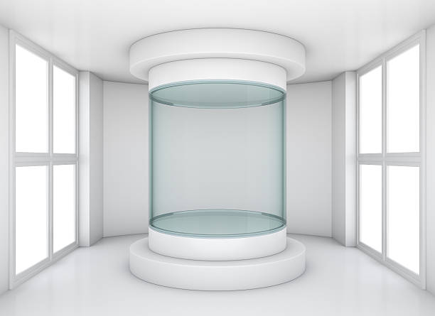 istock Empty glass showcase in exhibition room 538582070