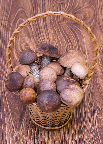 istock porcini mushrooms and boletus in a baske 538582274