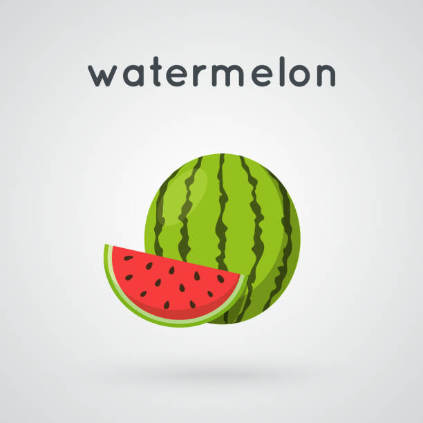 ilustraciones, imágenes clip art, dibujos animados e iconos de stock de sandía y una porción. - watermelon