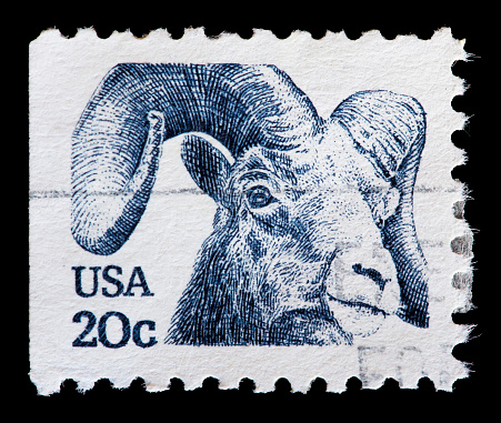 UNITED STATES OF AMERICA - CIRCA 1982: A used postage stamp printed in United States shows the head of a mouflon, a wild sheep (Ovis orientalis), circa 1982