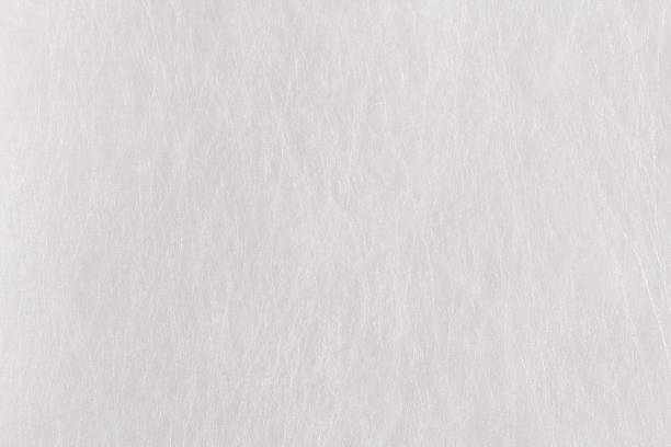 istock texture of the felt flower 538585512