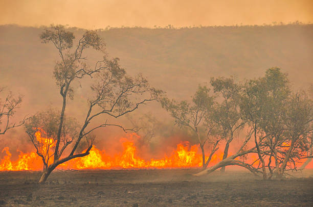 Australian fires Australian outback bush fires kimberley plain photos stock pictures, royalty-free photos & images