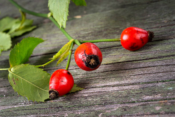 istock Dog roses on wooden background, selective focus 538586566