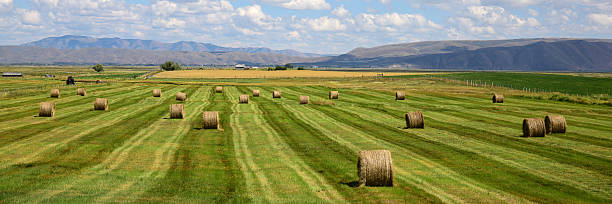 istock Wyoming, USA 538586916