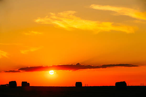 istock Summer Field Meadow With Hay Bales Silhouettes Under Sunset Sunlight 538587612