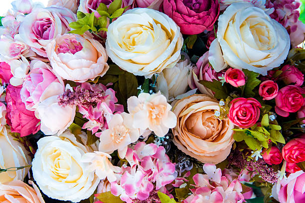 artificia fondo floral - rosa color fotografías e imágenes de stock