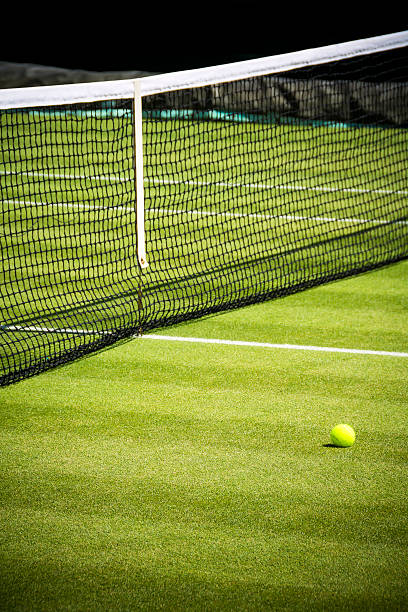 Tennis court and ball on sunny day Professional tennis court in sunshine with ball come to rest near to the net wimbledon stock pictures, royalty-free photos & images