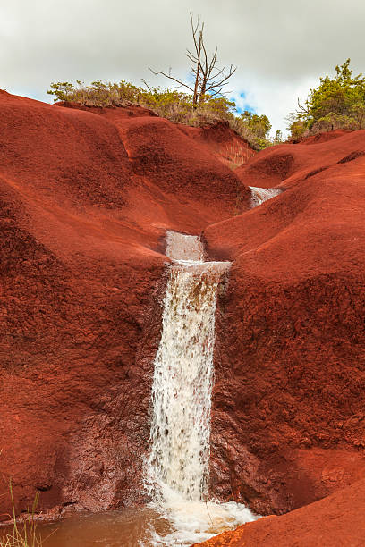 catarata de waimea canyon - waimea canyon state park imagens e fotografias de stock