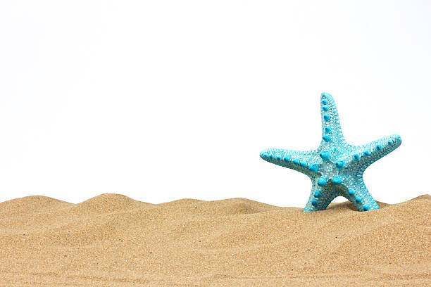 istock Beach with sand starfish and shells isolated over white 538591226
