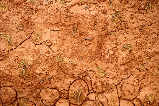 Adobe wall in Africa stock photo