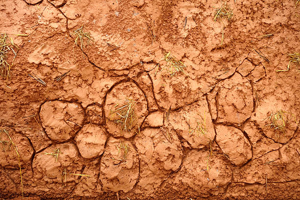 Adobe wall in Africa stock photo