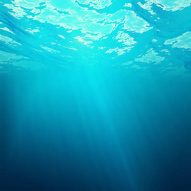 istock Underwater view of the sea surface with light rays. 3d 538593430