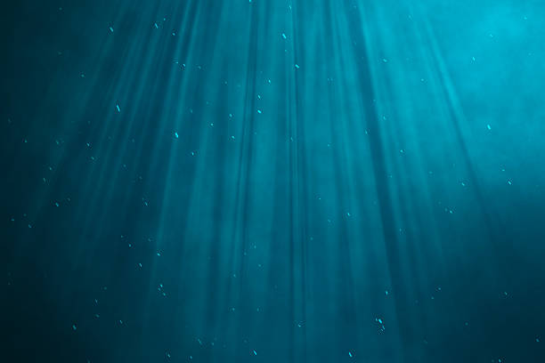 istock Underwater sea, ocean with light rays. 3d illustration 538594536