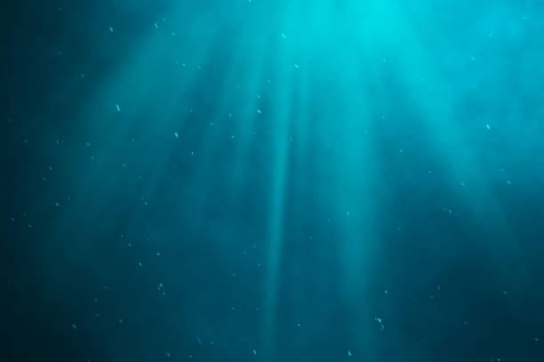 Underwater sea, ocean with light rays. 3d illustration