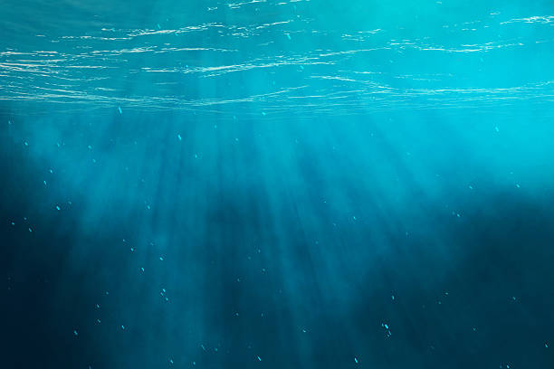 istock Underwater sea, ocean with light rays. 3d illustration 538594622