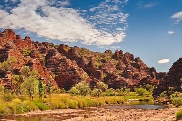 parque nacional bungle bungle - kimberley plain - fotografias e filmes do acervo