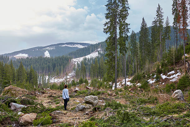 istock Woman witnessing deforestation aftermath 538597578