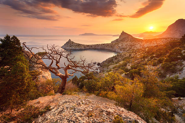 istock Landscape with beautiful view on mountain valley 538599190