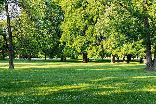 istock Park in Spring, Prague, Czech Republic 538599700