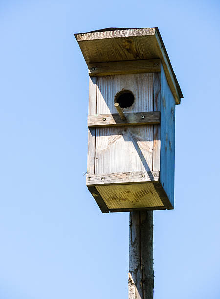 istock wooden birdhouse 538599806