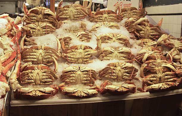 20+ Dungeness Crab For Sale Stock Photos, Pictures & Royalty-Free