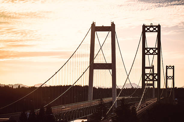 istock Tacoma Narrow Bridge At Dusk 538604666