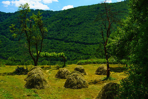 istock Countryside and haystacks in the Piva Valley 538605606