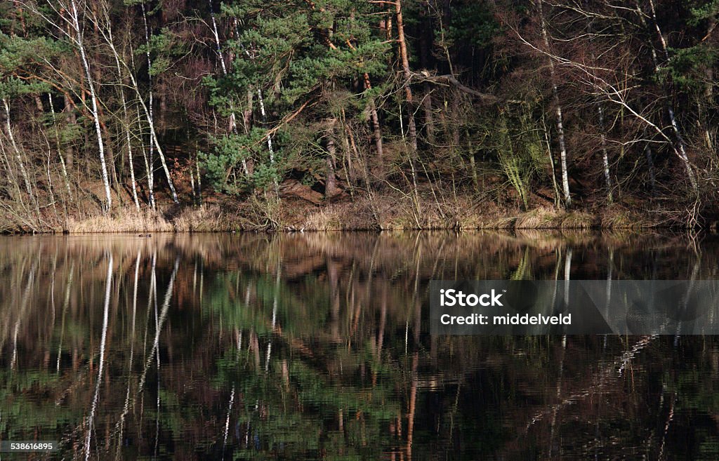 Water mirror Water mirror in the local pond 2015 Stock Photo