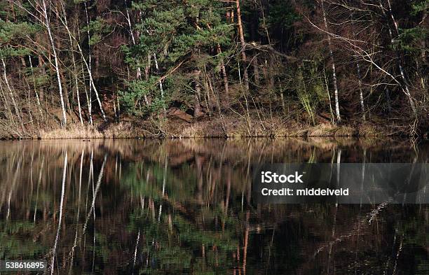 Water Mirror Stock Photo - Download Image Now - 2015, Autumn, Birch Tree