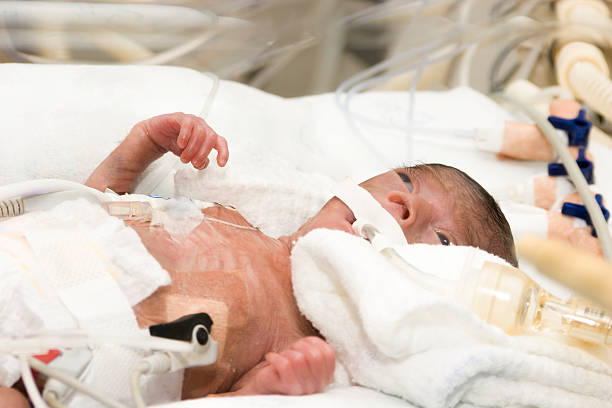 istock Newborn baby inside incubator 538616987