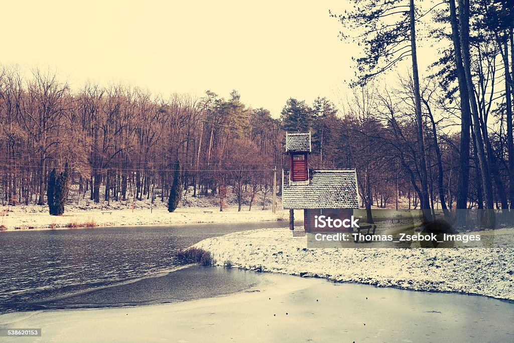 Woodhouse near lake 2015 Stock Photo