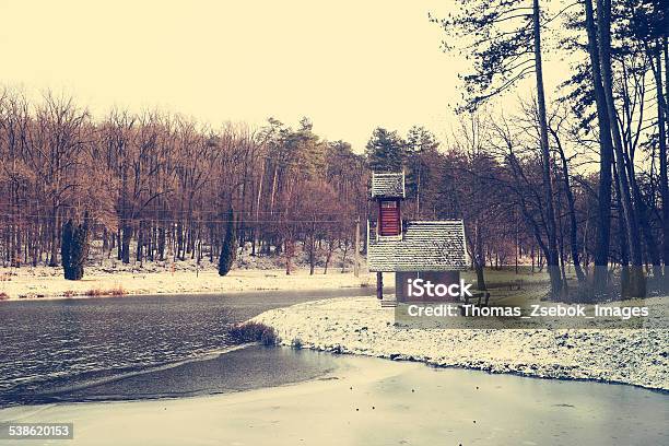 Woodhouse Near Lake Stock Photo - Download Image Now - 2015, Architecture, Awe