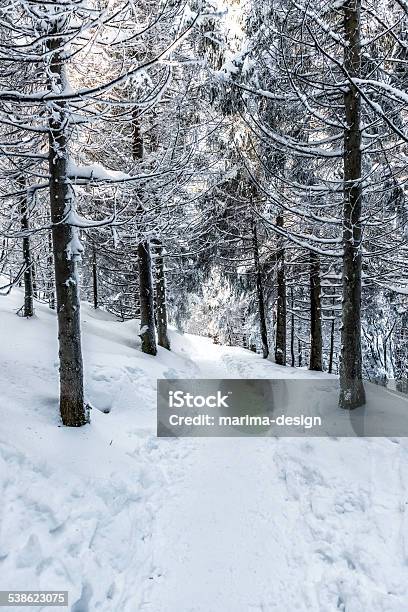 Winter Hike Stock Photo - Download Image Now - 2015, Accidents and Disasters, Baden-Württemberg